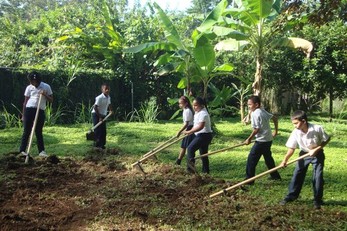 Sustainable Organic Educational Gardening Project