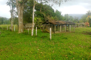 Biodigestor in Rancho Quemado