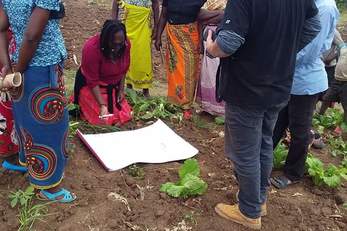 Improving Economic Stability for Women in Farming (IESF)