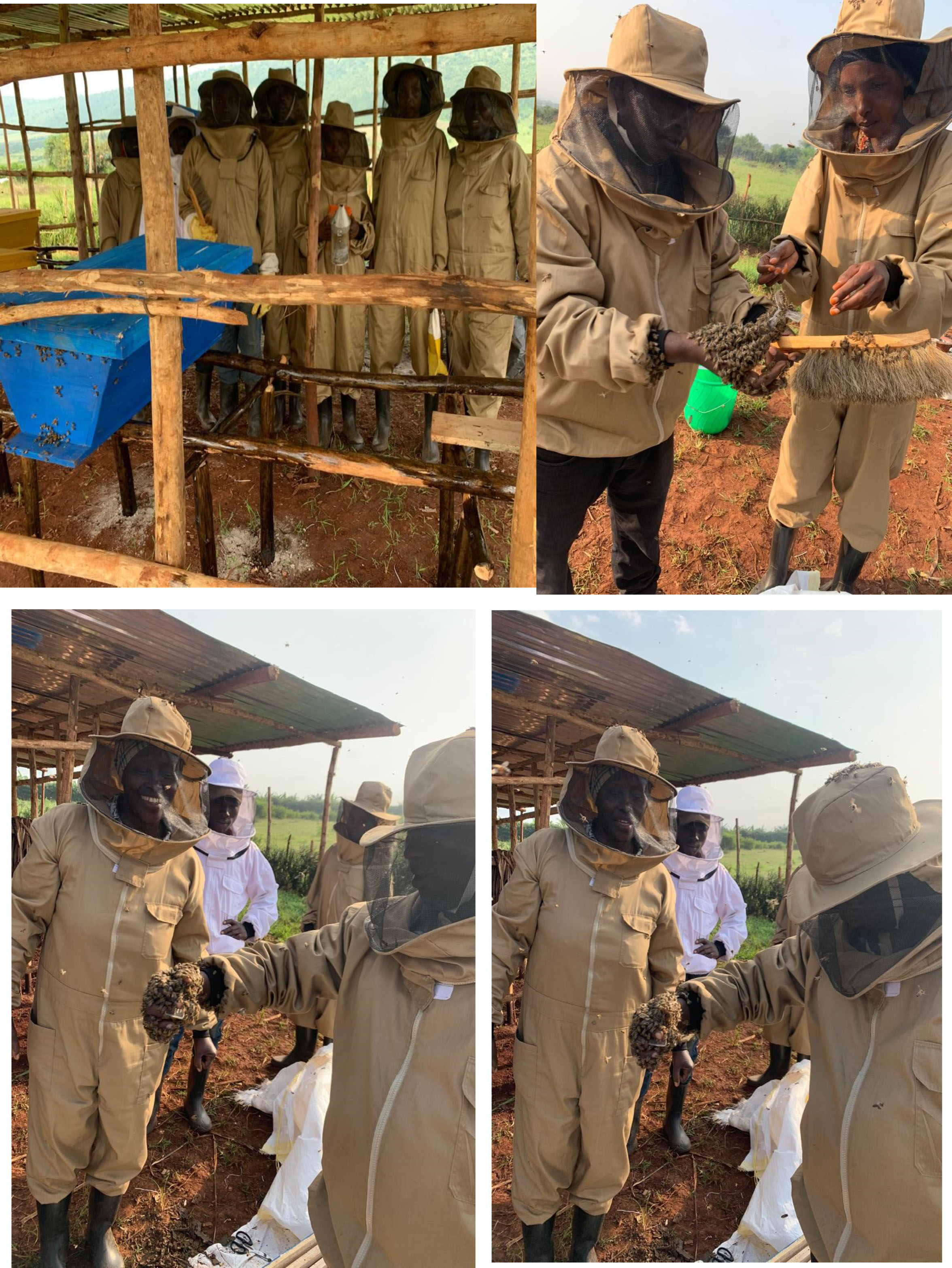 Improving Imani Beekeeping Cooperative's Bee Product Value Addition