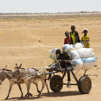 Journey to Senegal, March 2016 Journey to Senegal, March 2016