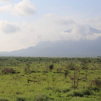 Journey to Tanzania, March 2017 Journey to Tanzania, March 2017
